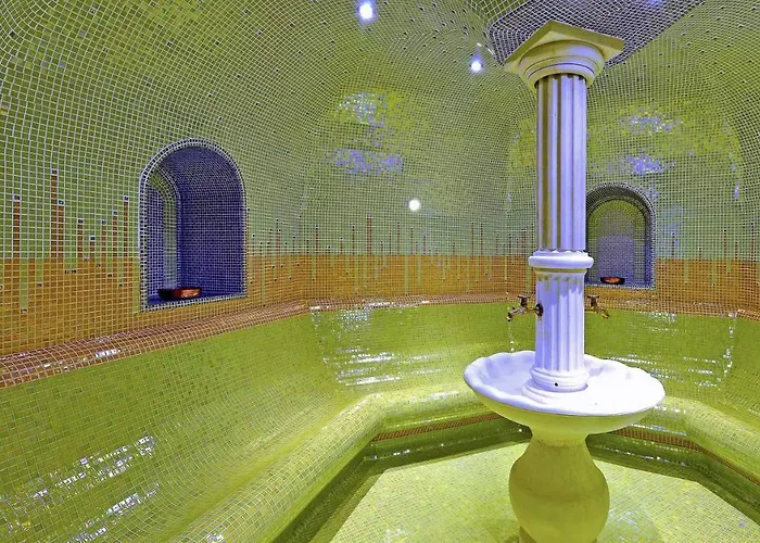 ホテル Grifid Vistamar